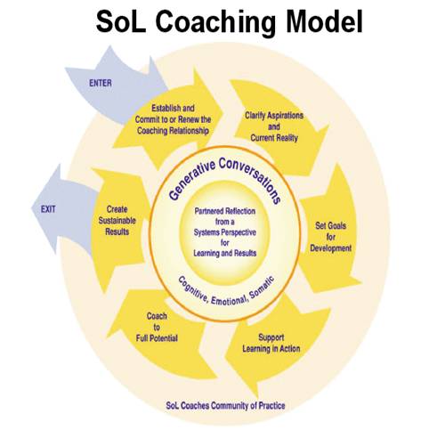 Coaching from a Systems Perspective